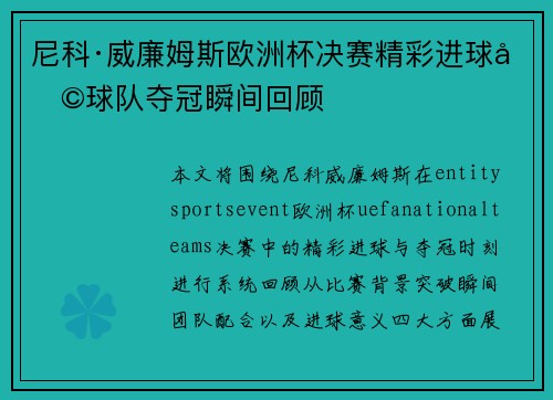 尼科·威廉姆斯欧洲杯决赛精彩进球助球队夺冠瞬间回顾